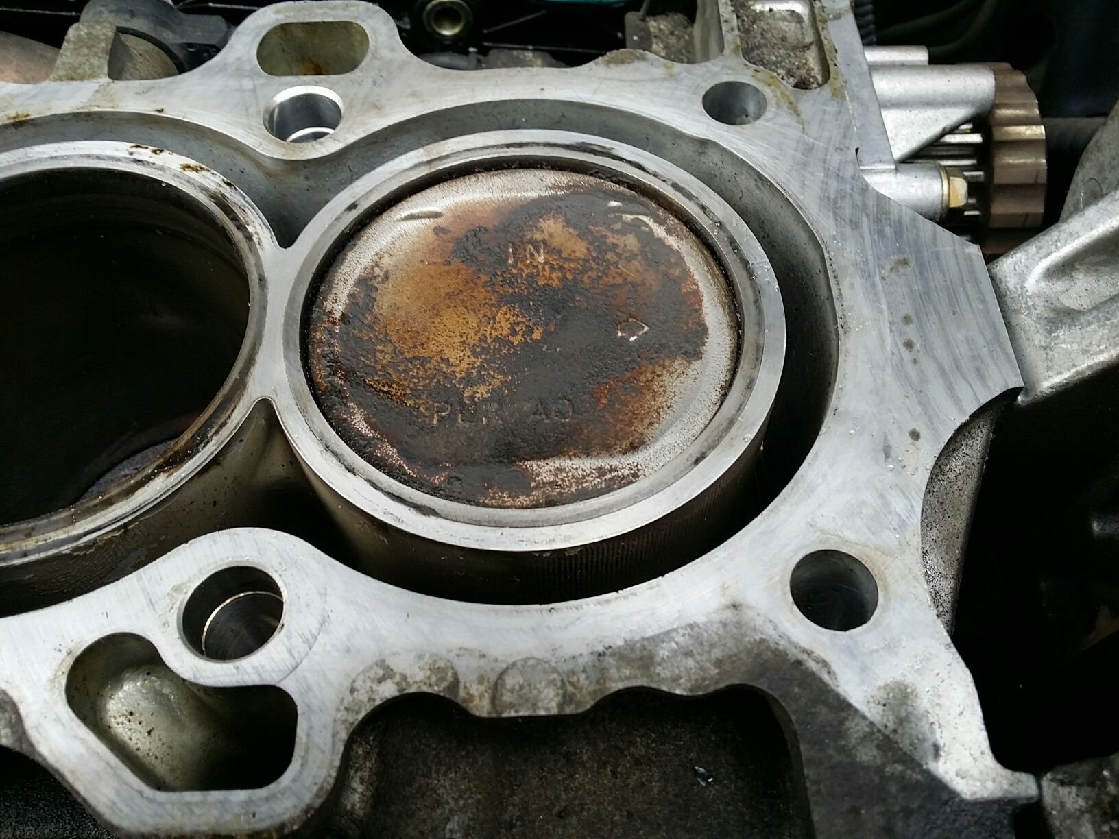 Repair This Engine (Head Gasket)? HondaTech Honda Forum Discussion