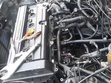 B18 in hatch almost ready for removal.