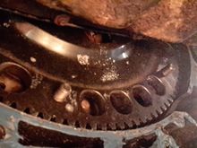 Long pp flywheel bolts? They r oem so..