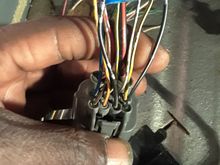 Civic c101 shock tower plug  this blk/wte wire isnt in pin 9 like the diagram calls for... is this still my starter signal ?