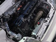 Another shot from this past weekend. Engine bay still cleans up well. 