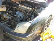 The Predule w/blown tranny, we're taking everything besides the transmission.
H23A4