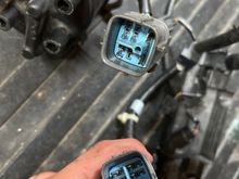 Distributor has female plug and so does harness