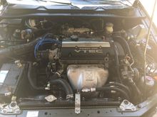 Engine bay looks pretty good after the needed parts and cleaning.