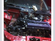 Sarah/My EJ8