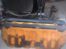 leading undersides are different!