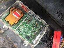 With a chipped p28