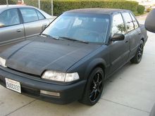 IMG 4727