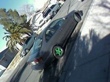 Photo 0017