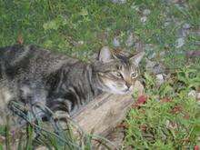20100925 259