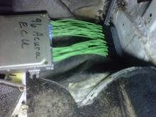 The boomslang conversion harness, 100% plug and play, cheaper than ha sport