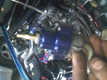 Photo 0087