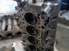 honda head