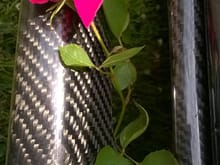 Carbon Rose