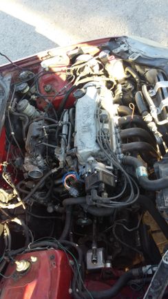 Engine is all in and everything bolted stock lx tranny.. P2e computer which is stock everything was supposably direct fit..  i upgraded the motor mounts to hasport