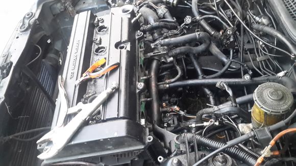 B18 in hatch almost ready for removal.