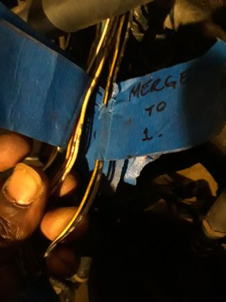J32 c101 shock tower plug ( has the 2 blk/ylw merge wires)