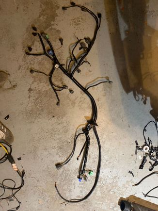 Here is the harness. You an see the plug that’s normal at the drivers side shock tower? It’s pulled back in as I explained. And the alternator wire is there lookin like a tail. 