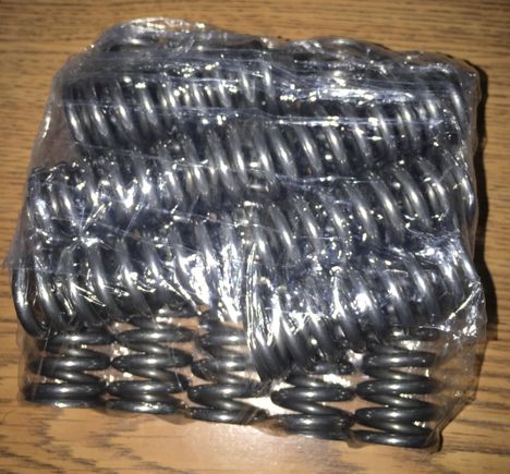 Supertech single valve springs