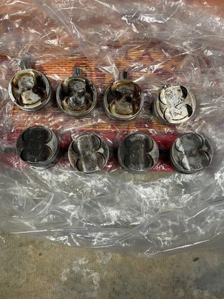 Cp pistons on top 
Type r pistons on the bottom. 