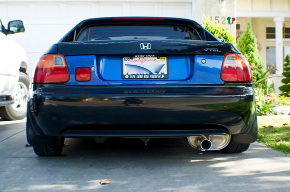 EDM Rear Panel