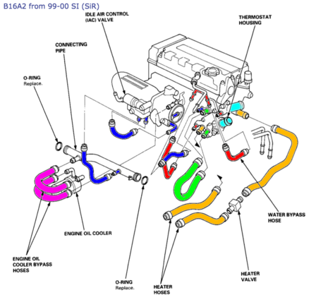 B16A2