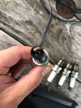 Sparkplug 1