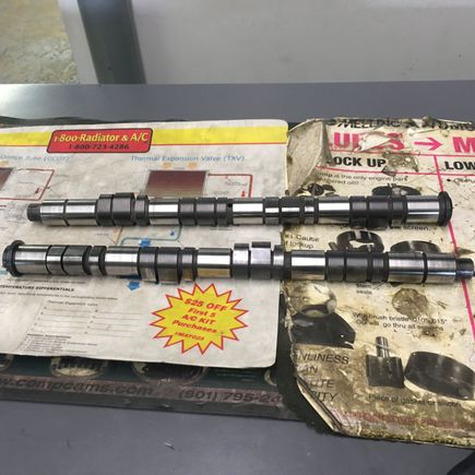 Just picked up my gsr cams at the machine shop