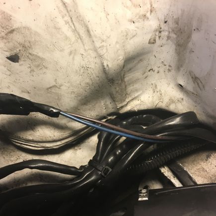 Spliced into these two, which ran to the switch inside