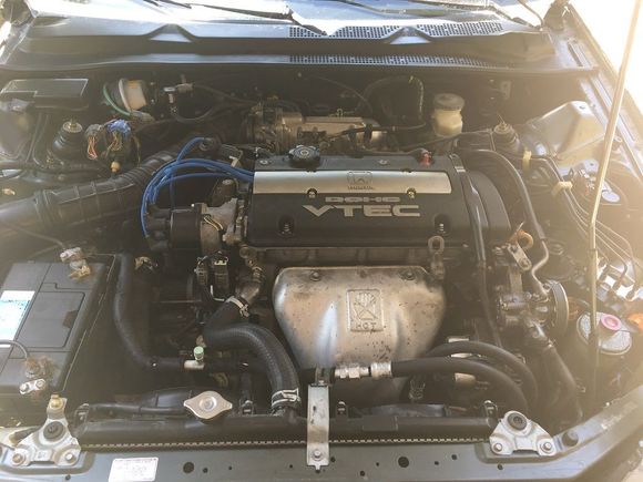 Engine bay looks pretty good after the needed parts and cleaning.