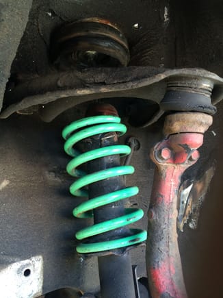 This picture actually shows how short the springs were. Looks like the previous owner hit a bad pothole because the foam bushind is crushed to the top of the shock. The shock itself is crunched.