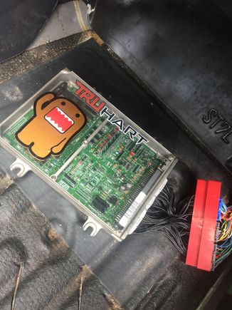 With a chipped p28