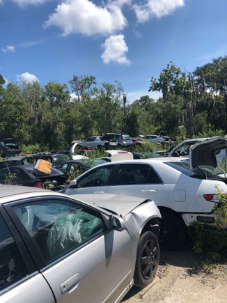 salvage yards like these are so damn weird