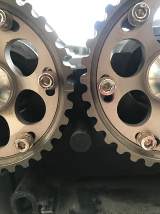 This is where the timing marks ended up being with the crank at TDC and cams degreed.