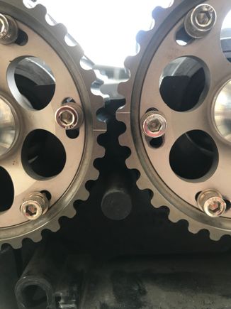 This is where the timing marks ended up after degreeing the cams and crank at TDC.