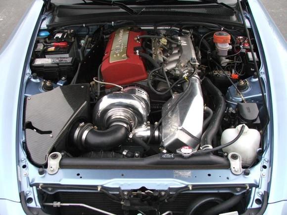 what gives her oomph