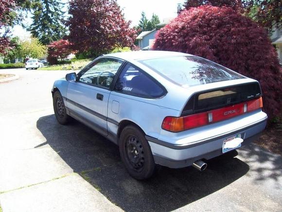 crx back left