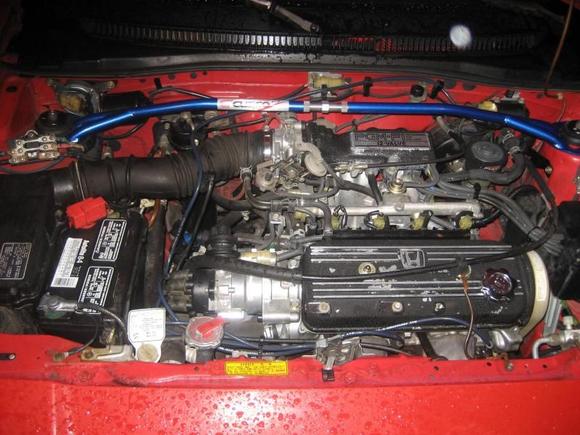 Bone stock 1.5!