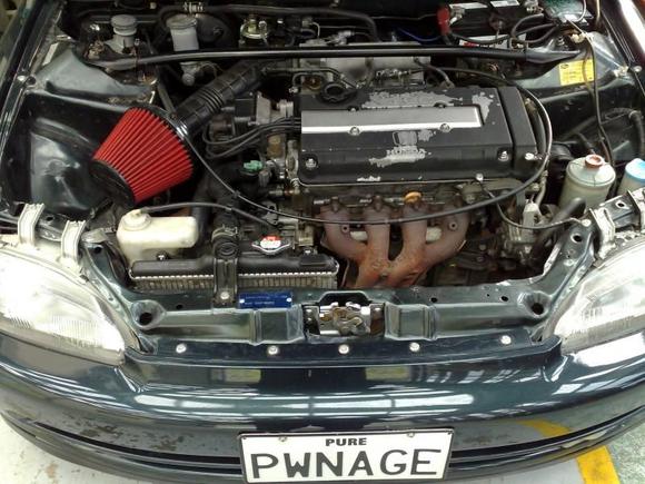 Nasty Rocker Cover