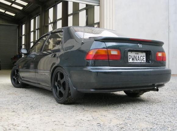 Rear End / Antennae