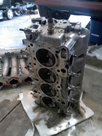 honda head