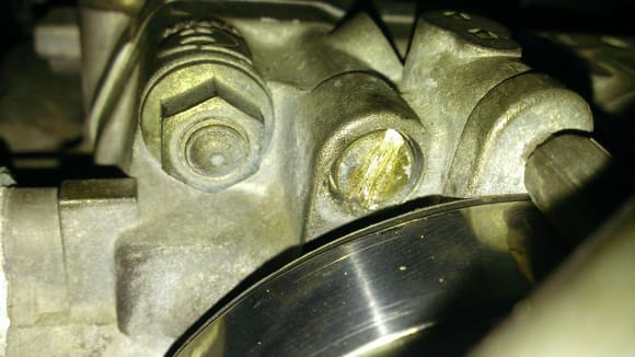 The screw fitted into the throttle body.