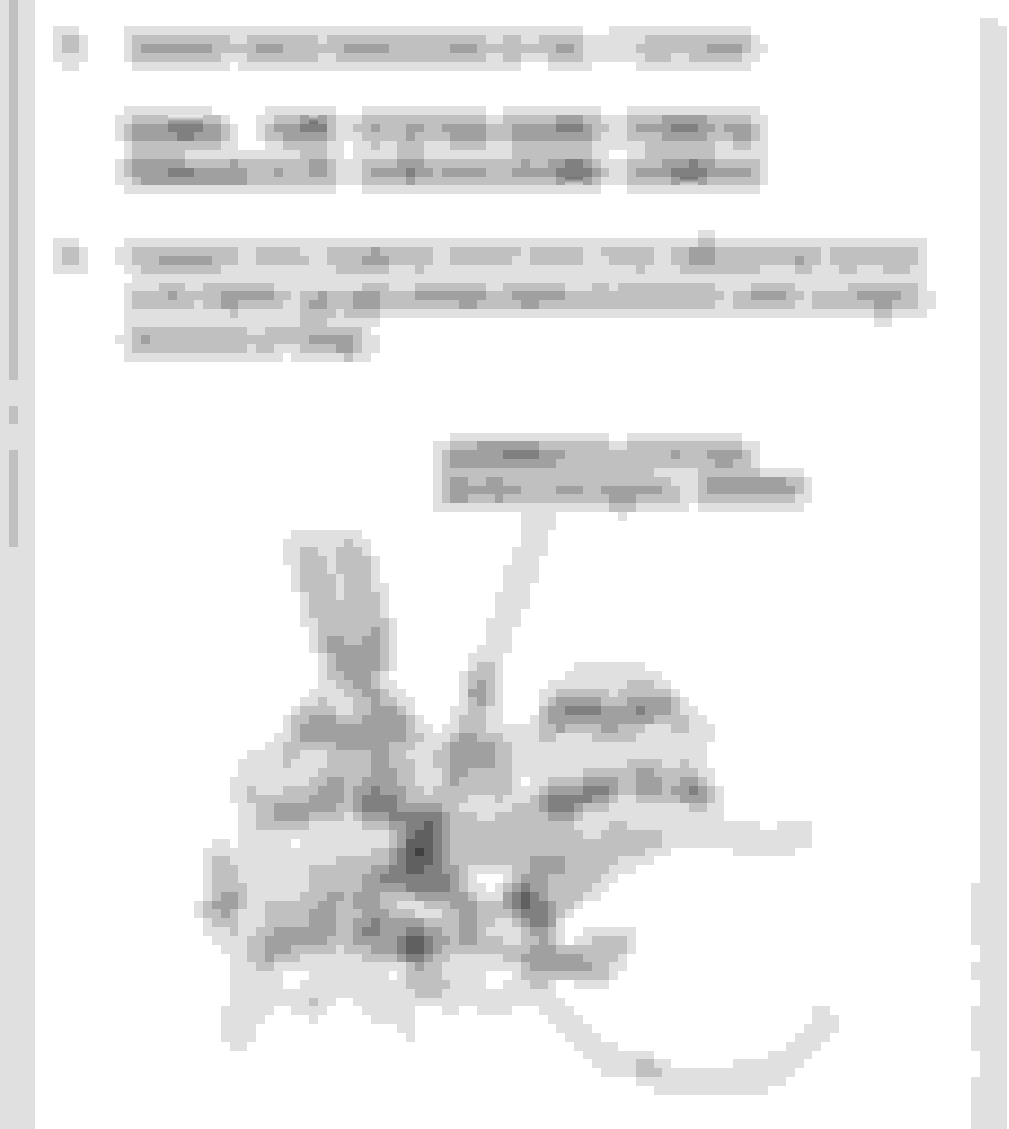Results from my b18b1 valve lash adjustment HondaTech Honda Forum