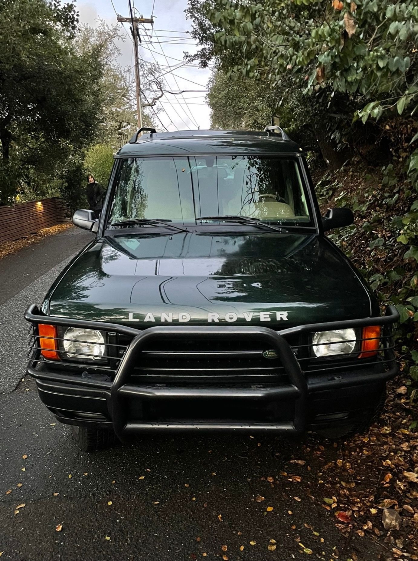 Exterior Body Parts - WTB Epson Green hood 01D2 - New or Used - 2001 to 2002 Land Rover Discovery - Los Gatos, CA 95030, United States