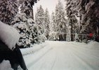 Lake Tahoe Day in January