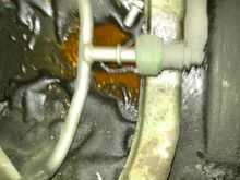 Coolant under ignition coils