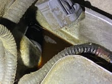 oil located around cooler on LR4 5.0