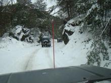 Winter Safari 2010   7