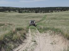 RoveringThe Sandhills WithAmyJune2014 1278 (1800x1009)