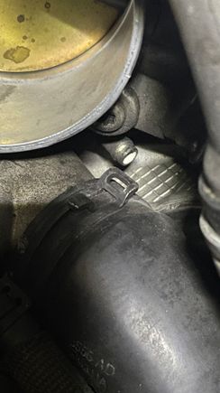 the mystery vacuum? port